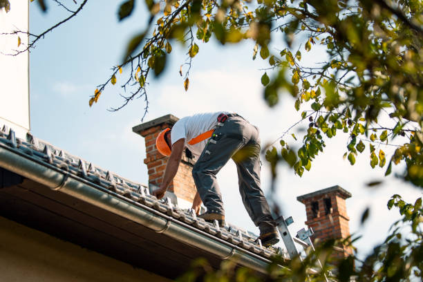 Best Steel Roofing  in Virden, IL
