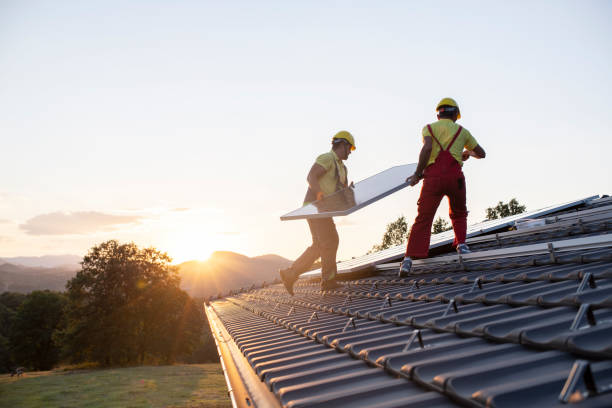 Best Roof Maintenance and Cleaning  in Virden, IL