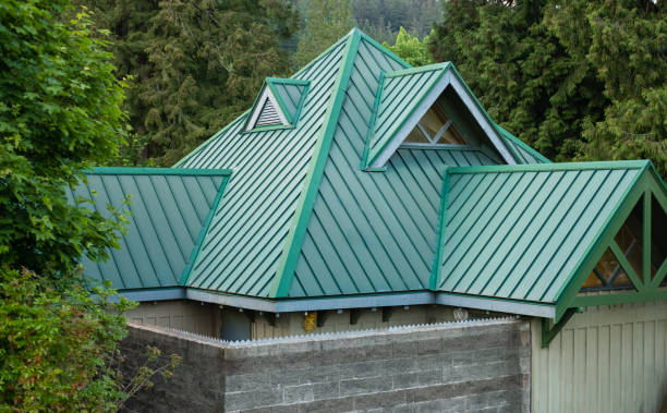 Best Roof Insulation Installation  in Virden, IL