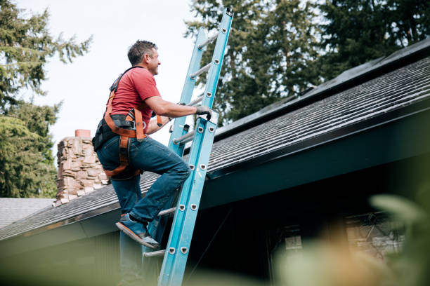 Best Roofing for New Construction  in Virden, IL