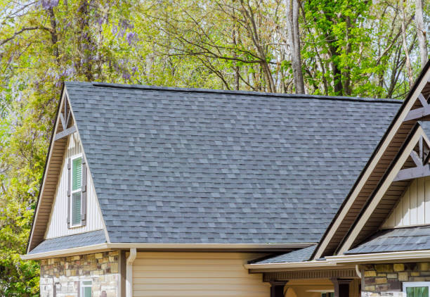 Best Roof Ventilation Installation  in Virden, IL