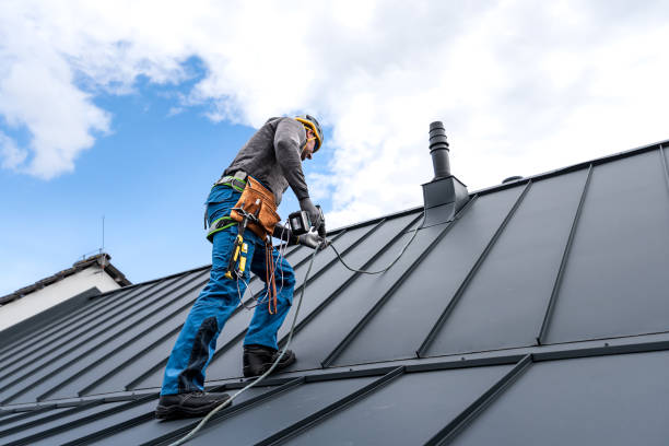 Best Solar Panel Roofing Installation  in Virden, IL
